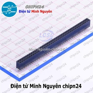 [2 CÂY] (TK1.2) Header Hàng rào Cái Đôi Vuông 40p 2.54MM