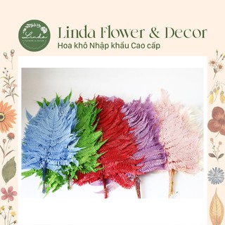 ❤️FREESHIP❤️Lá dương xỉ ướp trang trí, decor chụp hình, làm đồ hanmade