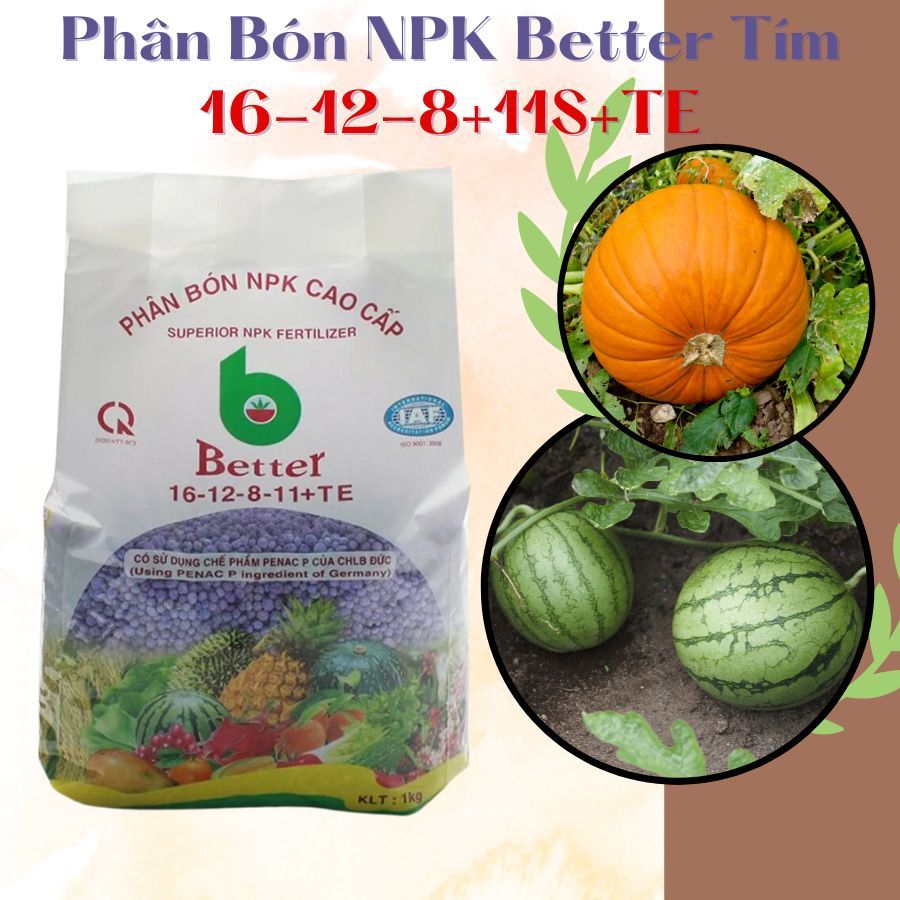 Phân Bón NPK Better Tím 16-12-8+11S+TE Dùng Cho Mọi Loại Cây Trồng (Vườn Sài Gòn)