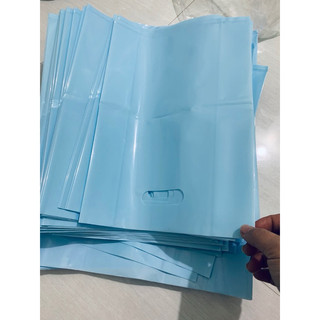 1KG Bao hột xoài Pe Xanh Pastel(Nhận in sl 10kg)