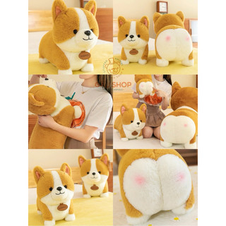 Gấu bông ❤️ chó Corgi ❤️ nằm mông tim bông mịn 🥰