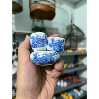 Cóng chim hút mật,khuyên, choè đất, yến