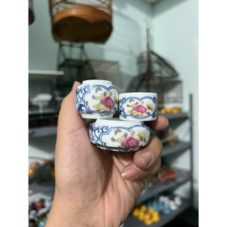 Cóng chim hút mật,khuyên, choè đất, yến
