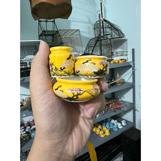 Cóng chim hút mật,khuyên, choè đất, yến