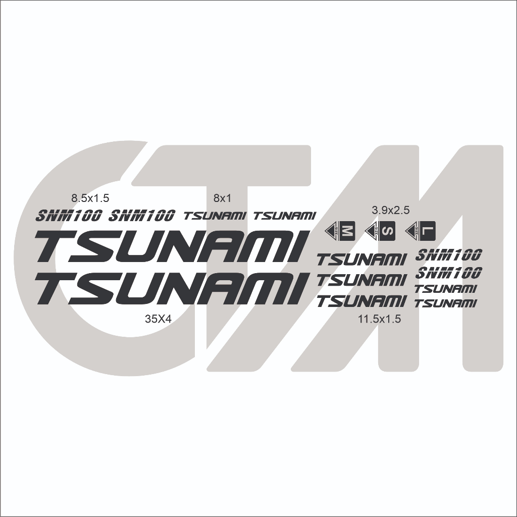 Tem TSUNAMI SNM100 Custom Fixed Gear