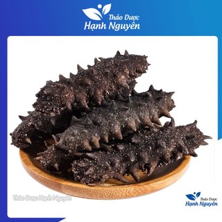 Hải sâm đen khô cao cấp 100g - Thảo Dược Hạnh Nguyên