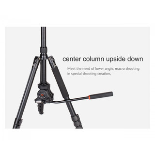 Chân máy quay Coman DF-06 + QUÀ TẶNG