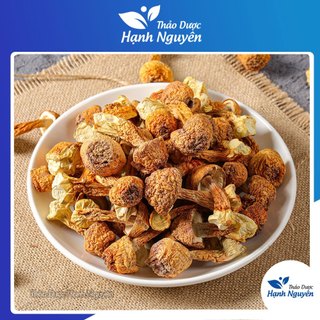 Nấm tùng nhung 10g - Thảo dược Hạnh Nguyên
