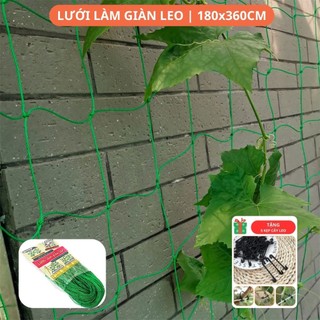 Lưới Làm Giàn Cây Leo, R180xC360cm, Độ Bền Cao, Dễ Lắp Đặt, Làm Giàn Mướp