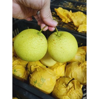 2 Kg Lê đường xanh giòn ngọt