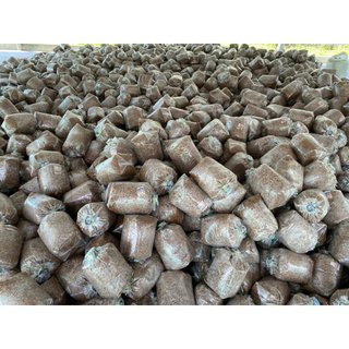 Combo 5 Meo Nấm Rơm Thần Nông (550g/meo)
