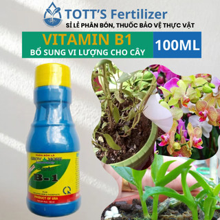 VitaminB1 cho cây cảnh - Dinh dưỡng cho cây cảnh