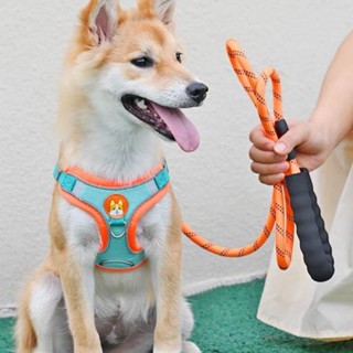 Dây dắt yếm cho chó mèo có kèm phản quang tránh lạc, dây dắt thú cưng