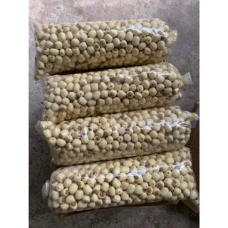 HẠT SEN TƯƠI ĐỒNG THÁP ( SHIP HỎA TỐC)
