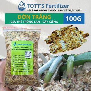 Dớn Chile gói 100gram giữ ẩm cho hoa lan