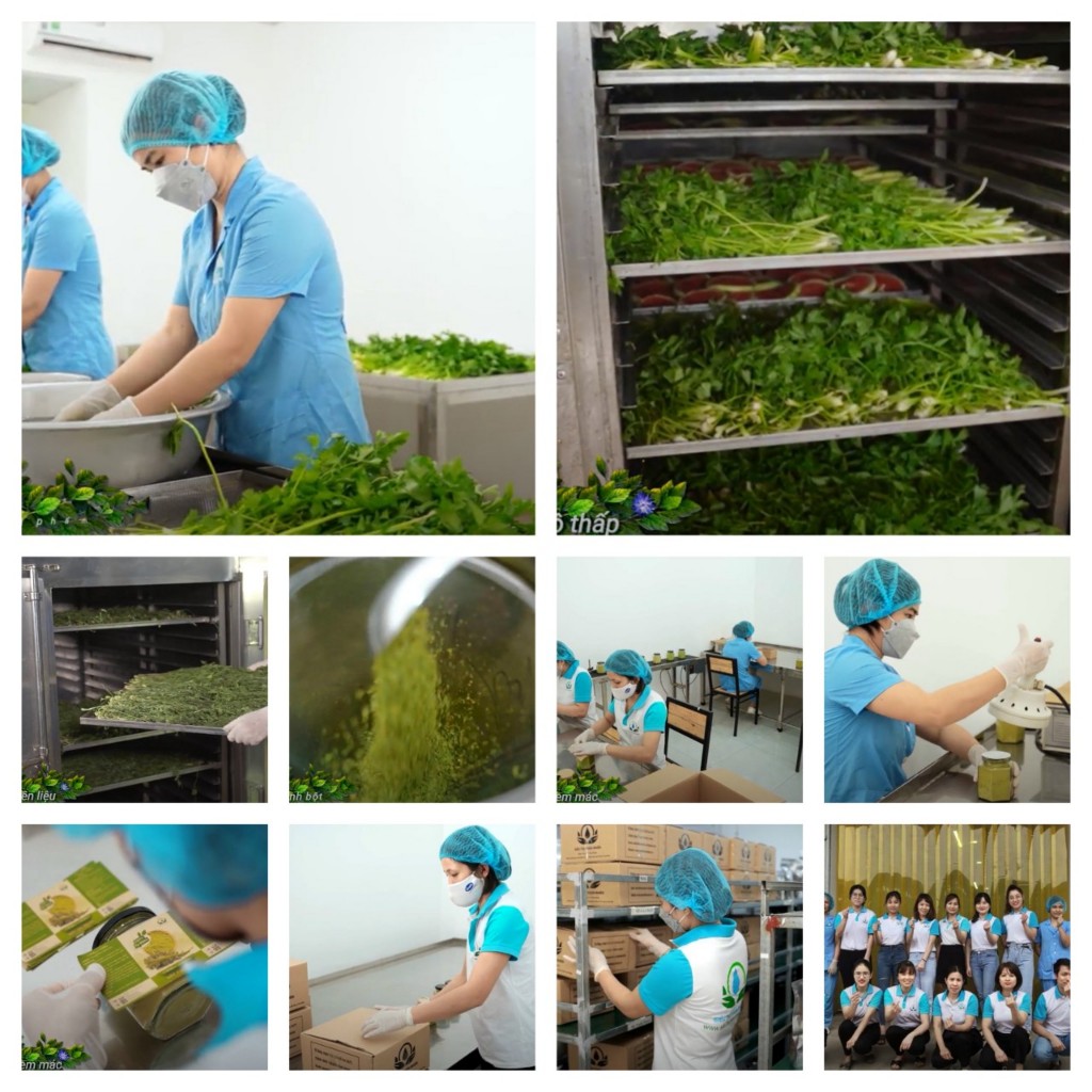 Trà Bổ Thận, Cải Thiện Sức Khoẻ Sinh Lý Nam Giới Nhanh - Siêu Thị Thiên Nhiên Hộp 30 Túi Lọc