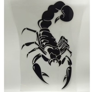 Decal bọ cạp có kích thước 20 cm X 30 cm