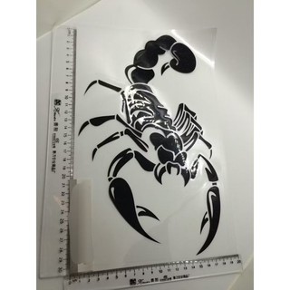 Decal bọ cạp có kích thước 20 cm X 30 cm