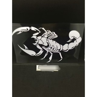 Decal bọ cạp có kích thước 20 cm X 30 cm
