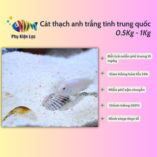 Cát thạch anh trắng tinh trung quốc