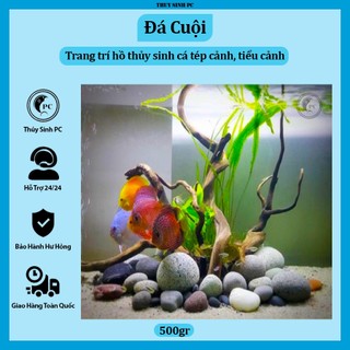 Bao 500gr đá cuội trang trí bể thủy sinh, terrarium