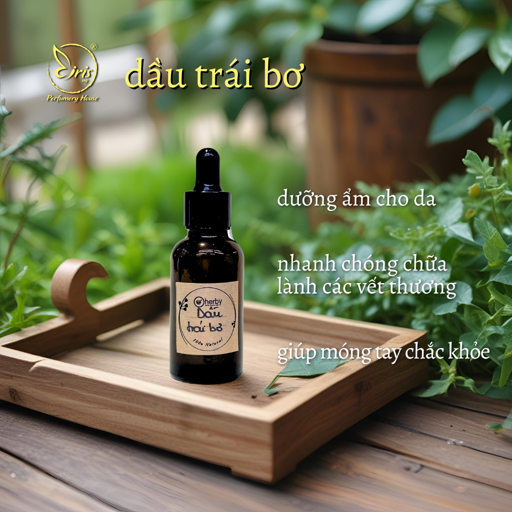 Dầu Nền, Dầu Trái  Bơ