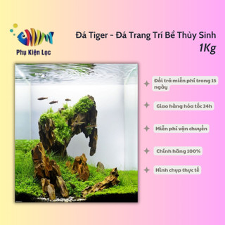 Đá Tiger - Đá Trang Trí Bể Thủy Sinh 1KG