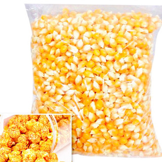 COMBO 2kg BẮP MỸ SẤY KHÔ - dùng làm bắp rang bơ
