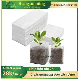 50 Túi vải không dệt tự hủy, ươm trồng tiện lợi size 20x20cm