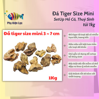 Đá tiger size mini setup hồ cá, thuỷ sinh