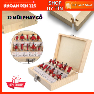  Bộ 12 mũi phay gỗ bộ mũi soi gỗ 12 chi tiết 1 4 inch có hộp đựng loại đẹp 