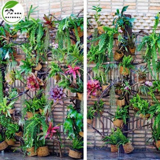 Thảm xơ dừa 20cm x 1m [ thảm băng dừa, cuộn xơ dừa ]