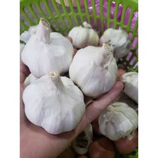 1kg Tỏi củ To Siêu chắc mẩy loại Vip Siêu Ngon