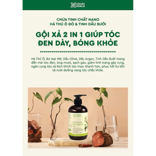 Dầu gội thảo dược đen tóc Hà thủ ô