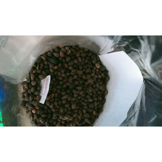 100g hạt đu đủ chín sấy khô