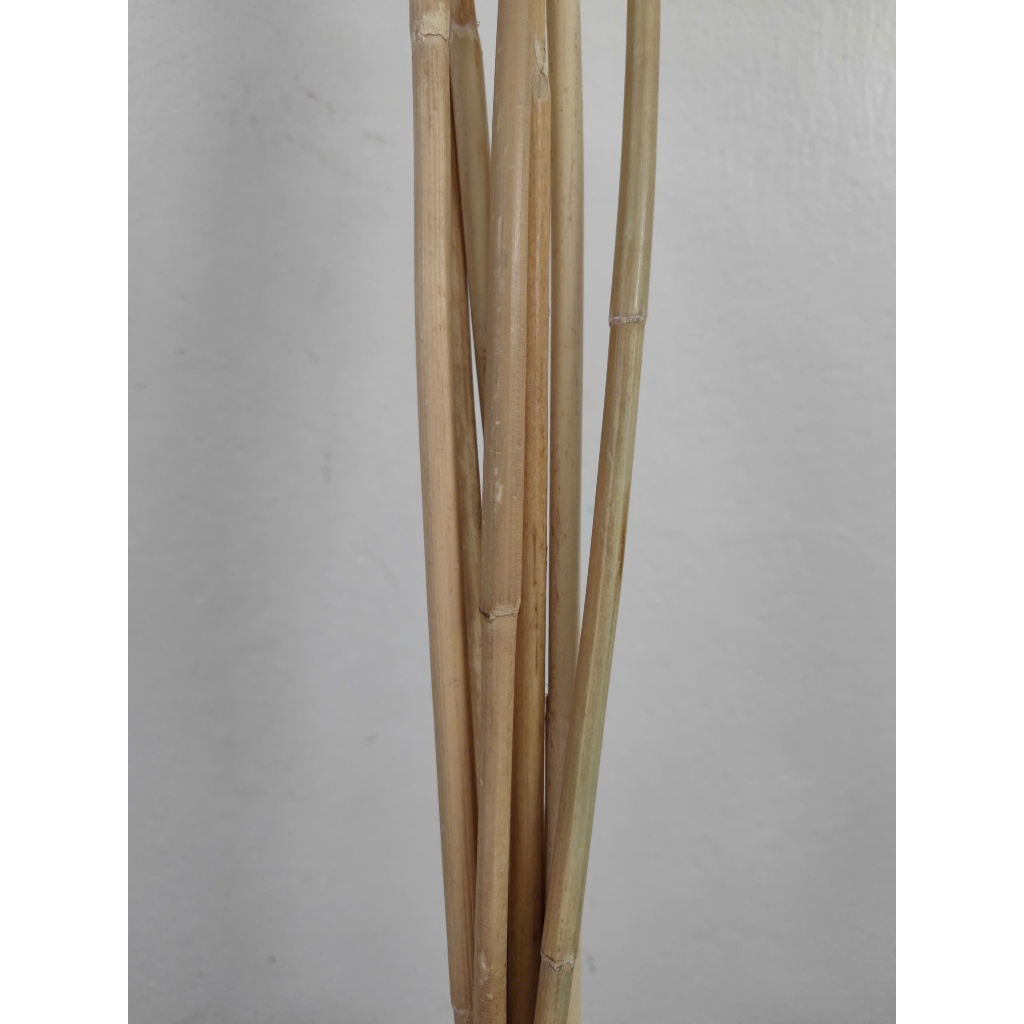 Cây Mây Dẻo Dai Dài 80Cm Nguyên Bản Dùng Làm Đồ Thủ Công