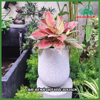 Chậu Đá Mài Giọt Nước 20x35cm, chậu đá mài trồng cây nội thất