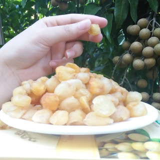 LONG NHÃN SẤY DẺO KHÔNG ĐƯỜNG CHÍNH GỐC HƯNG YÊN (HỘP 500GR)
