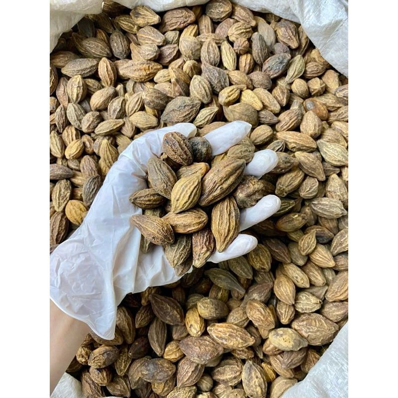Quả Kha Tử khô loại 1 [500g]