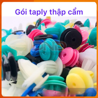Set Vít nở nhựa, chốt nhựa táp ly ( tapli ) cửa dành cho xe hơi gồm nhiều loại kích cỡ - Future Autoparts