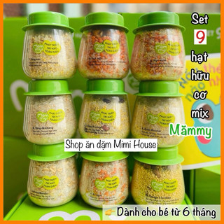 Hạt hữu cơ mix Mămmy cho bé ăn dặm từ 6 tháng