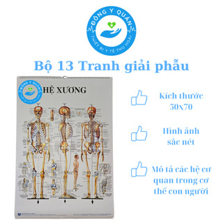 Bộ 13 tranh giải phẫu các hệ cơ quan trong cơ thể người- Nhà xuất bản y học- rõ nét- sinh động- kích thước 50cmx70cm