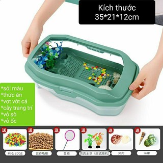 Bể Nuôi Rùa Nước Nhiều Size