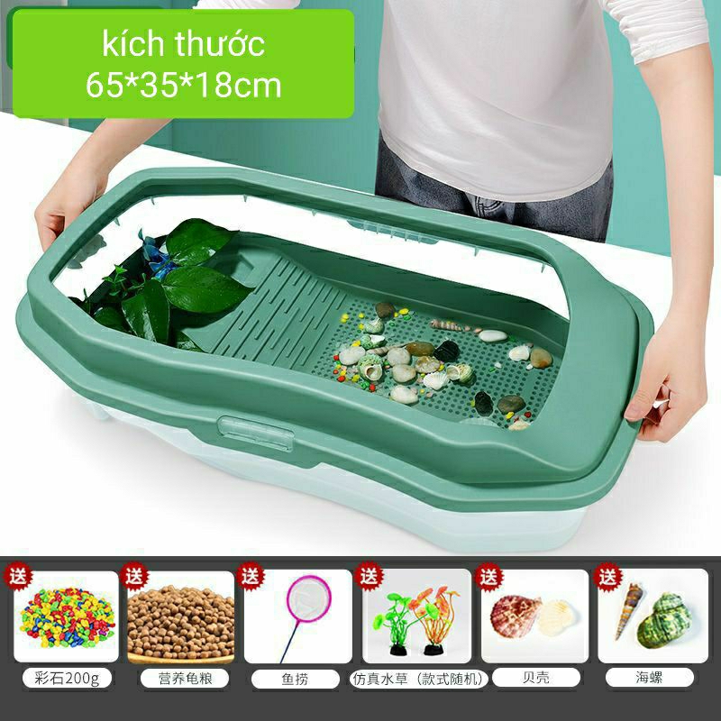Bể Nuôi Rùa Nước Nhiều Size