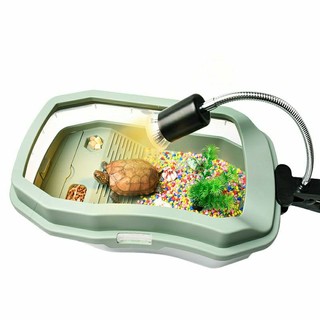Bể Nuôi Rùa Nước Nhiều Size