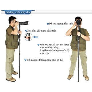 Tripod Monopod Weifeng WT-1003