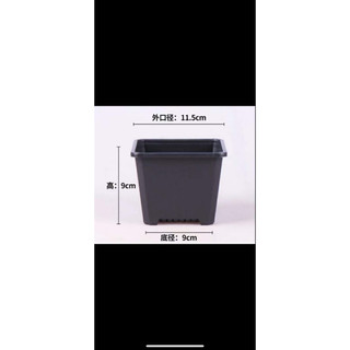 chậu nhựa trồng sen đá xương rồng 11,5x11,5cm