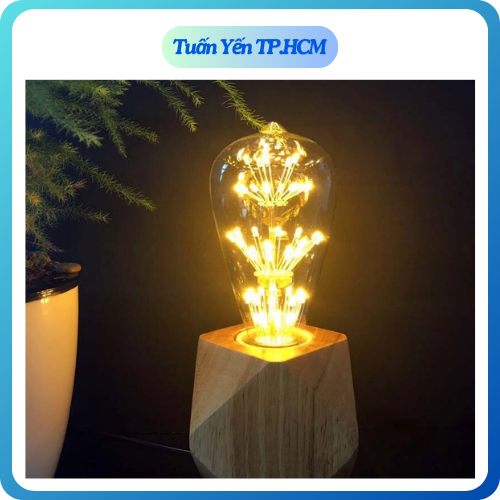 Bóng đèn edison ST64, edison G80 cây thông, trang trí sân vườn, nhà cửa, khách sạn.