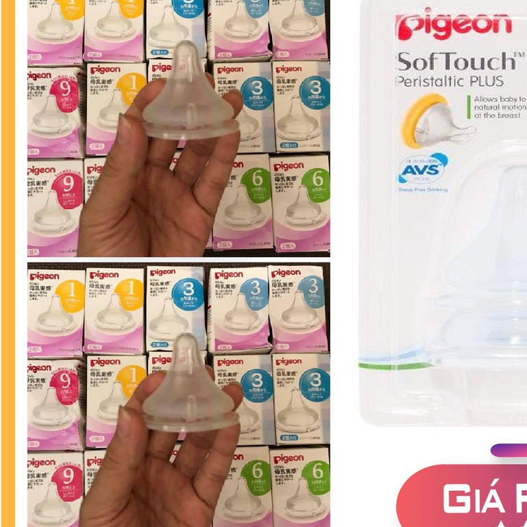 [pet_shop]Núm Ty Pigeon Plus Cổ Rộng