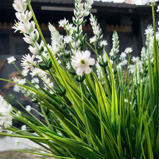 1 Bụi cỏ hẹ sao đêm giả - Hoa giả - TUYET XUAN SHOP